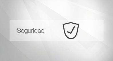 Seguridad Seguridad